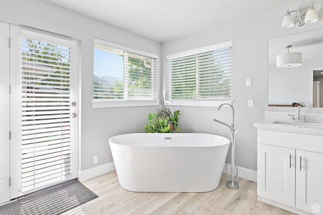 520 990 N, Pleasant Grove, UT 84062 - bathroom featuring a freestanding tub, vanity, and wood finished floors
