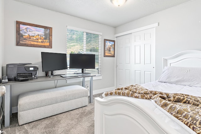 520 990 N, Pleasant Grove, UT 84062 - bedroom with light carpet, an office area, and a closet