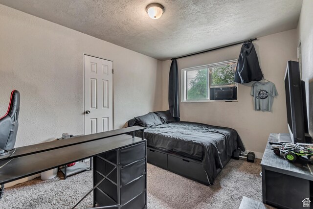 4585 W 4895 S, Salt Lake City, UT 84118 - photo 8