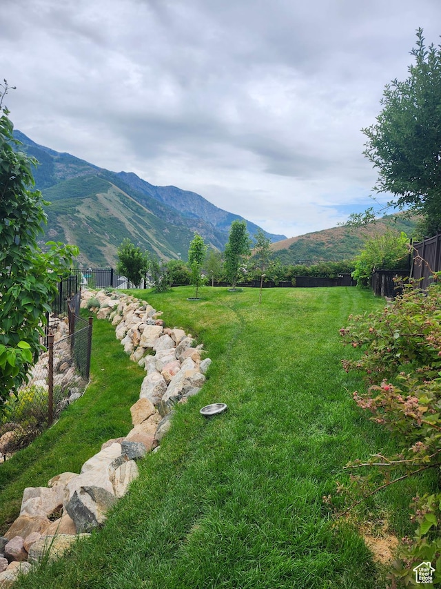 6226 W Valley View Dr, Mountain Green, UT 84050 - photo 45