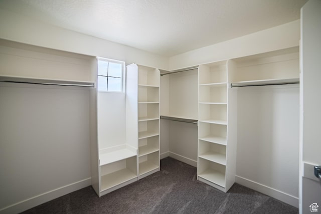 7169 W Moorepark Pl, West Jordan, UT 84081 - spacious closet with dark carpet