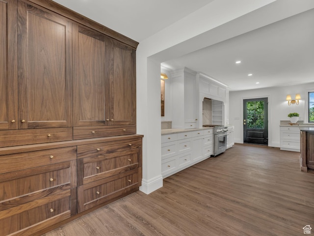 1499 E River Oaks Dr, Sandy, UT 84093 - kitchen with high end stove, wood finished floors, recessed lighting, white cabinets, and light countertops