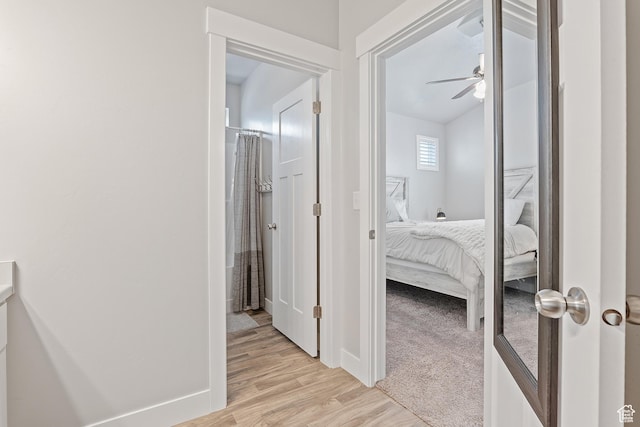 14642 S Mckellen Dr Unit C303, Herriman, UT 84096 - corridor with light wood-type flooring and baseboards