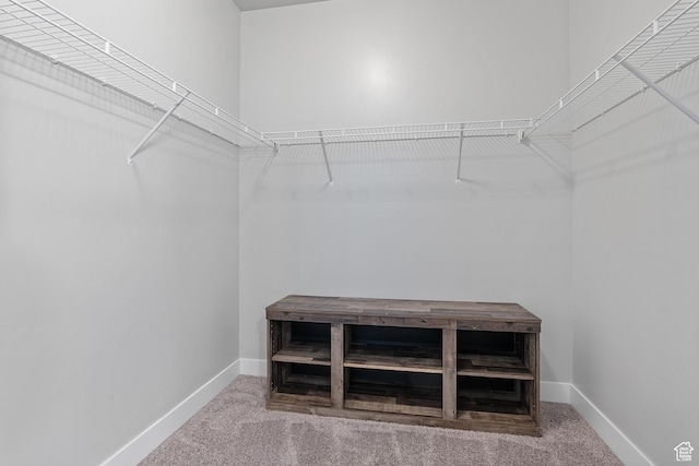14642 S Mckellen Dr Unit C303, Herriman, UT 84096 - spacious closet with carpet floors