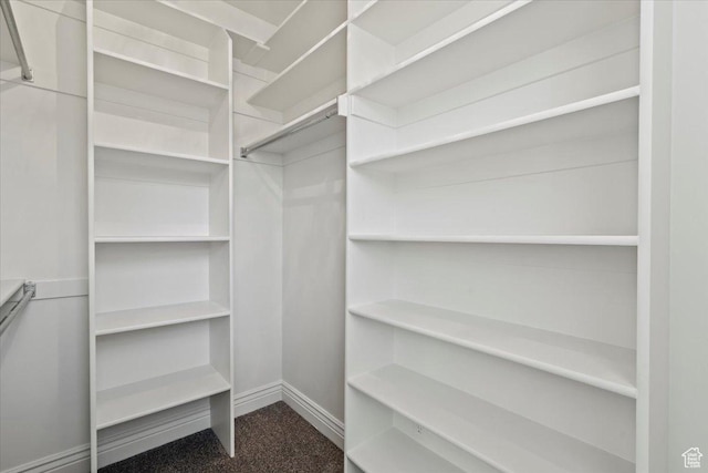 1076 W River Hill Dr, Spanish Fork, UT 84660 - view of spacious closet