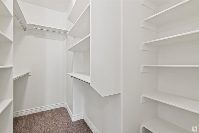 1076 W River Hill Dr, Spanish Fork, UT 84660 - spacious closet with carpet floors
