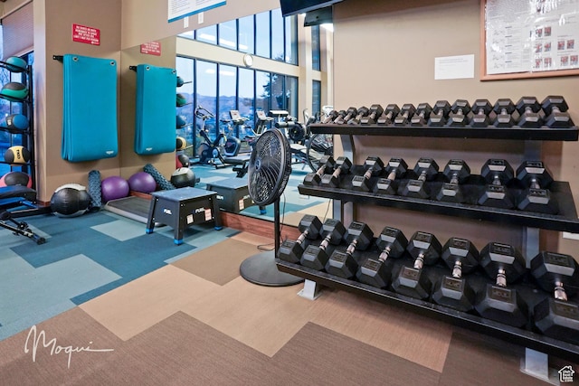 350 W Camino Borde, Washington, UT 84780 - exercise room featuring carpet flooring
