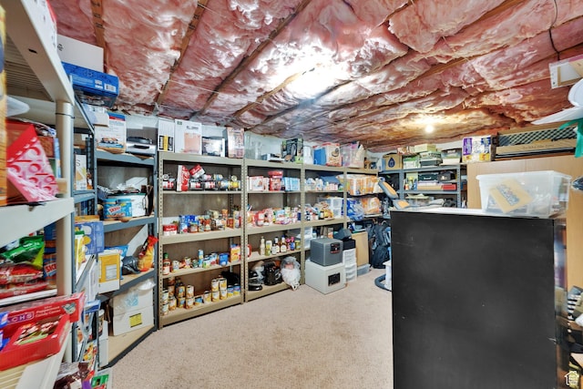 8322 S Copper Vista Cir, West Jordan, UT 84081 - view of storage