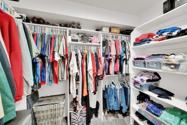 8322 S Copper Vista Cir, West Jordan, UT 84081 - spacious closet featuring carpet flooring