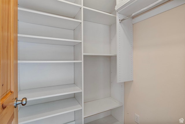 924 Redford Dr, Provo, UT 84604 - view of spacious closet