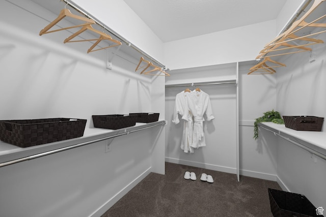 6856 W 8060 S, West Jordan, UT 84081 - spacious closet featuring carpet floors