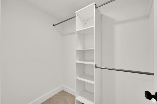4961 E Oakwood Dr, Eagle Mountain, UT 84005 - view of spacious closet