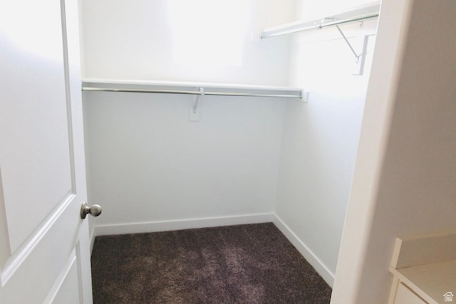 54 N Heading Row, Saratoga Springs, UT 84045 - spacious closet featuring carpet