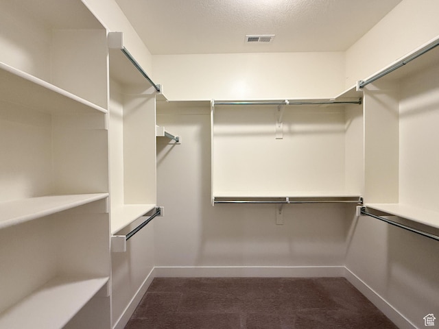 1302 E Mary Ln, Layton, UT 84040 - walk in closet with dark carpet