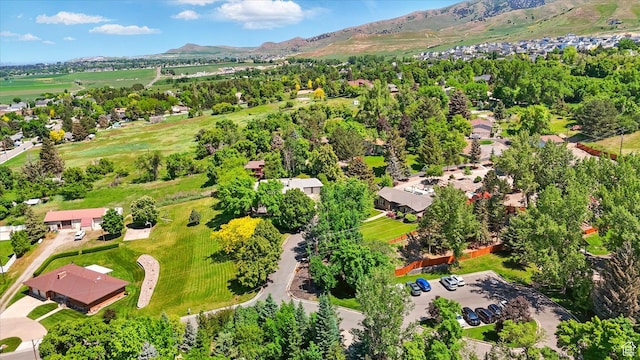 121 Mountain View Dr, Hyde Park, UT 84318 - photo 12