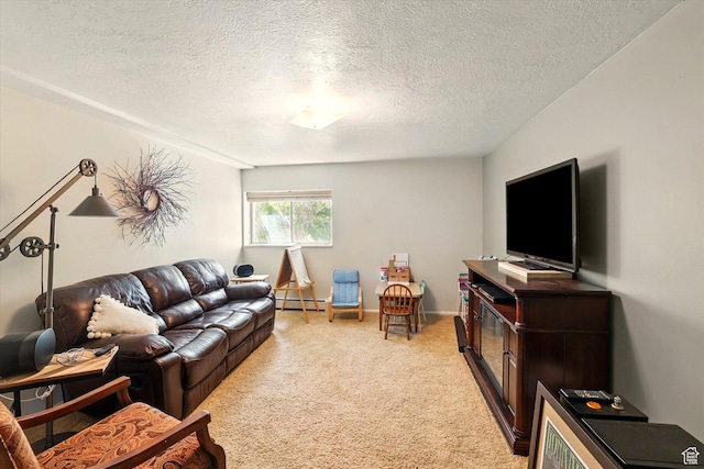 121 Mountain View Dr, Hyde Park, UT 84318 - photo 37