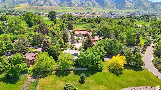 121 Mountain View Dr, Hyde Park, UT 84318 - photo 10