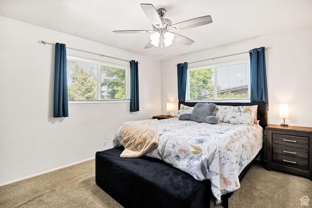440 S 50 W, Richmond, UT 84333 - photo 10