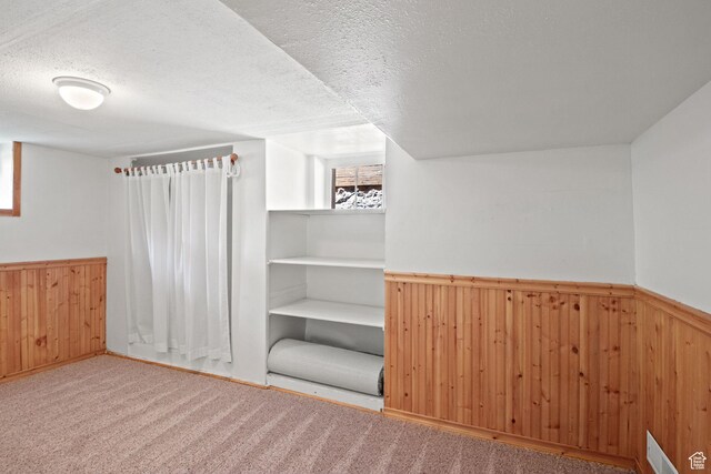 320 E 3rd Ave, Salt Lake City, UT 84103 - additional living space with wainscoting, wood walls, a textured ceiling, and carpet flooring