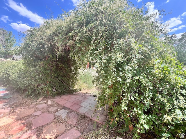 148 Duchesne St, Helper, UT 84526 - view of yard