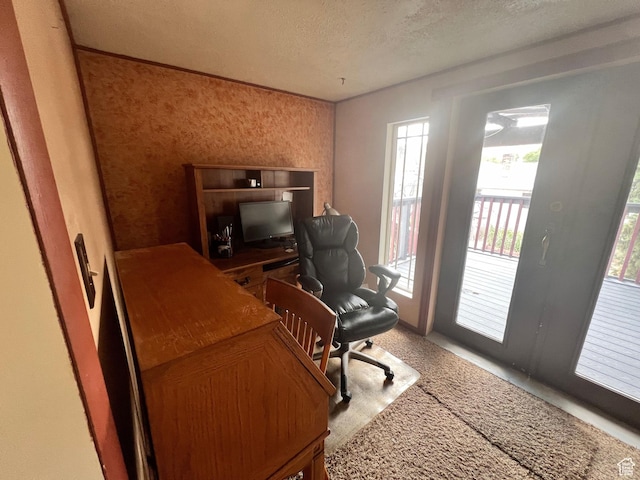 148 Duchesne St, Helper, UT 84526 - office space featuring a textured ceiling