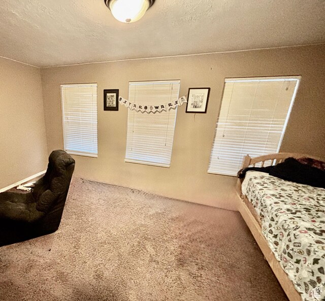 1048 S 925 W, Woods Cross, UT 84087 - photo 12