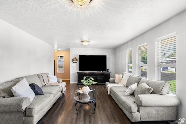 1456 Swan St, Ogden, UT 84401 - living area with a textured ceiling and dark wood-style floors