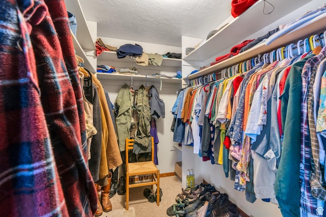 3286 Danish Hills Cir, Cottonwood Heights, UT 84121 - view of walk in closet