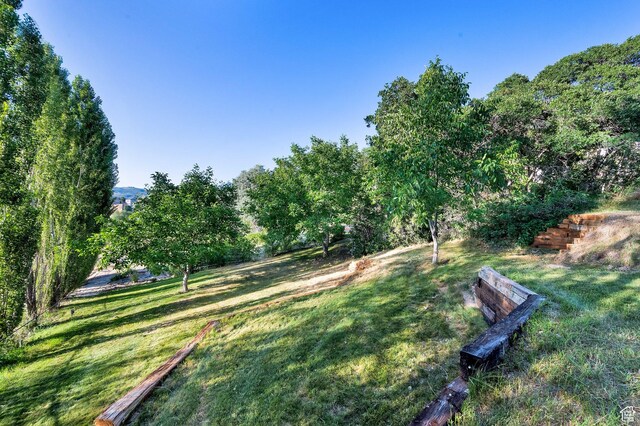 2313 N 850 E, Lehi, UT 84043 - view of green lawn