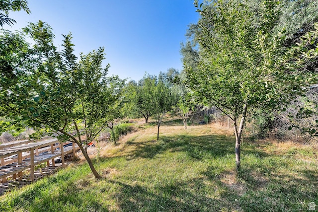 2313 N 850 E, Lehi, UT 84043 - view of grassy yard