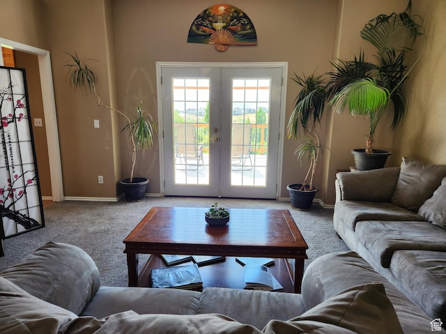 2313 N 850 E, Lehi, UT 84043 - living area with carpet flooring and french doors