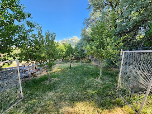 2313 N 850 E, Lehi, UT 84043 - view of yard