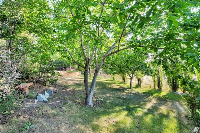 2313 N 850 E, Lehi, UT 84043 - view of yard