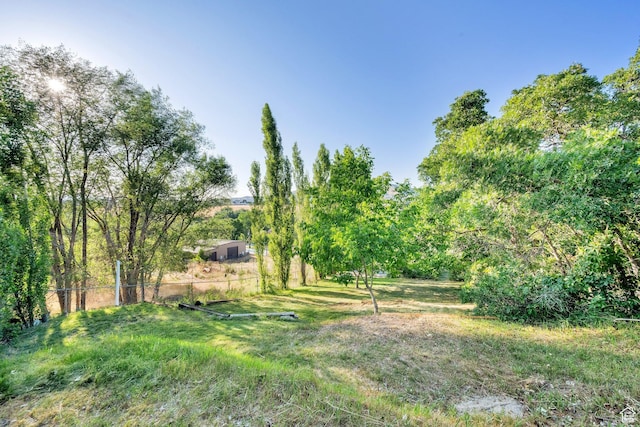 2313 N 850 E, Lehi, UT 84043 - view of yard