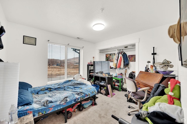 1045 S 1700 W Unit 133, Payson, UT 84651 - view of carpeted bedroom