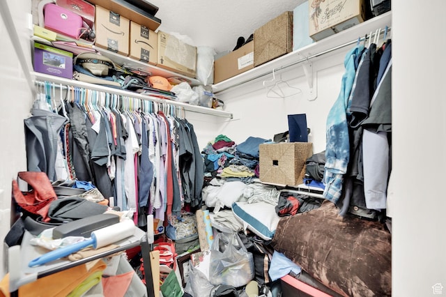 1045 S 1700 W Unit 133, Payson, UT 84651 - view of walk in closet