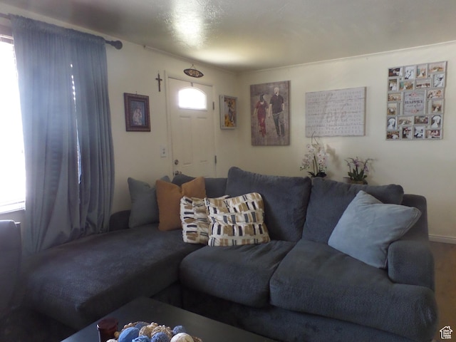 1053 E 10600 S, Sandy, UT 84094 - photo 9