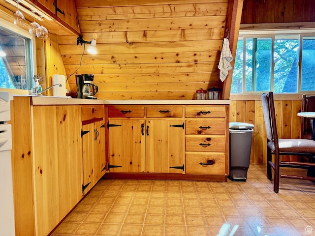 10215 E Moose Rd Unit 1, Brighton, UT 84121 - kitchen featuring wood walls, light countertops, and light flooring