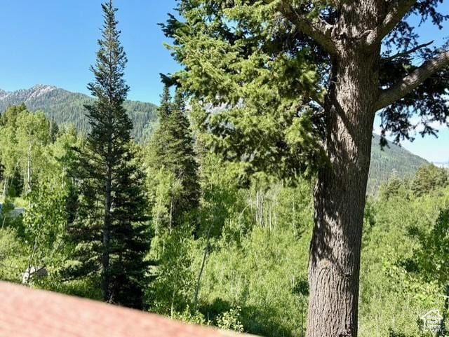 10215 E Moose Rd Unit 1, Brighton, UT 84121 - view of mountain backdrop with a forest