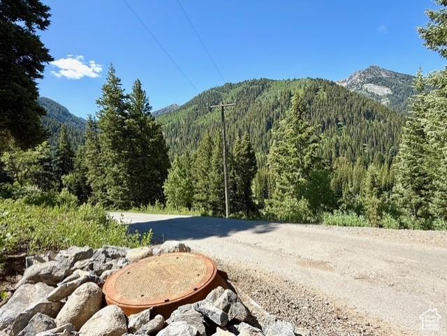 10215 E Moose Rd Unit 1, Brighton, UT 84121 - mountain view featuring a heavily wooded area