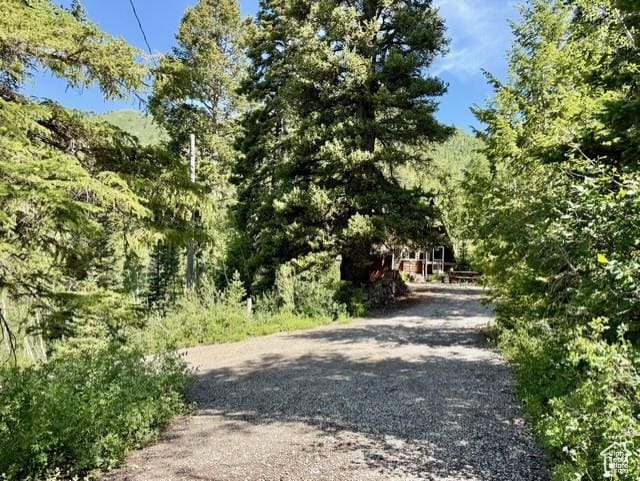 10215 E Moose Rd Unit 1, Brighton, UT 84121 - view of dirt / gravel road