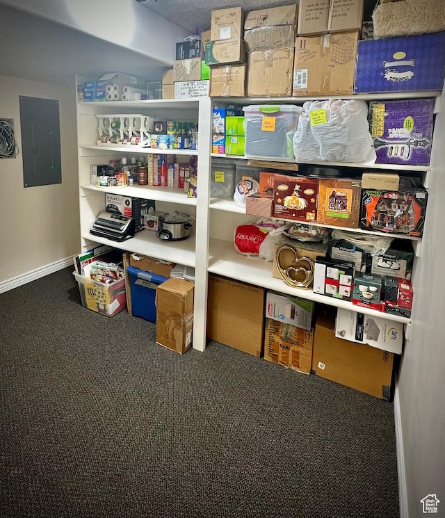 2242 N 2500 W, Lehi, UT 84043 - storage with electric panel