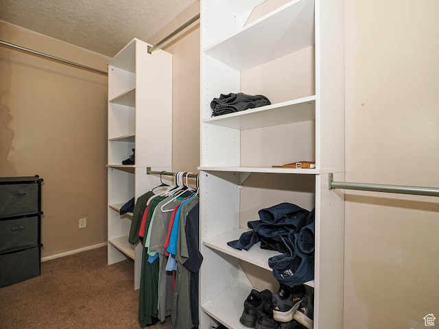 4060 W 2550 S, Taylor, UT 84401 - walk in closet with carpet floors