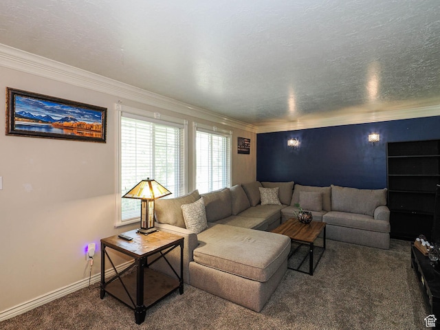 4060 W 2550 S, Taylor, UT 84401 - carpeted living area with crown molding