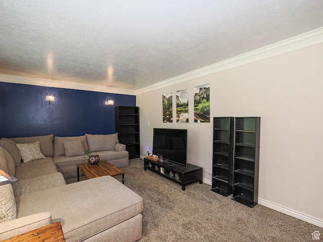 4060 W 2550 S, Taylor, UT 84401 - carpeted living area with ornamental molding and a textured ceiling