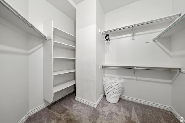 3072 W Current Creek Dr, South Jordan, UT 84095 - spacious closet featuring carpet