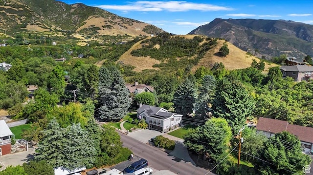 6460 Combe Rd, Uintah, UT 84403 - photo 7