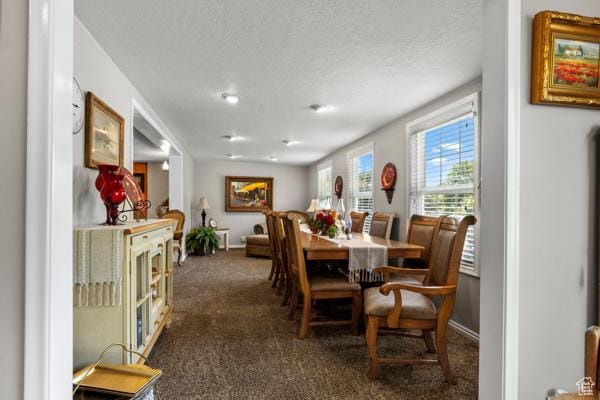 6460 Combe Rd, Uintah, UT 84403 - photo 32
