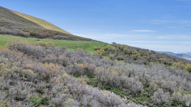 12708 N Slalom Run Way Unit 35, Kamas, UT 84036