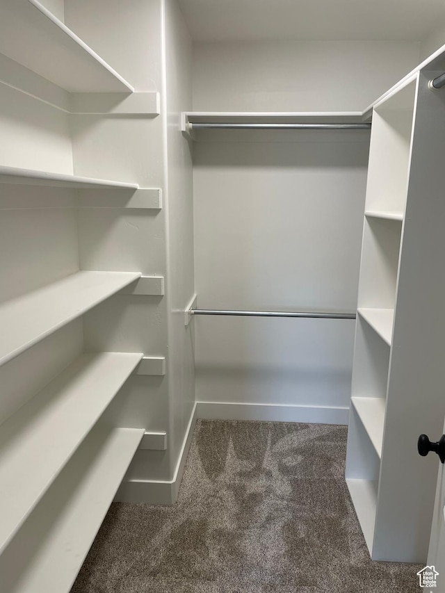 4940 N 5000 W, Roosevelt, UT 84066 - spacious closet featuring carpet